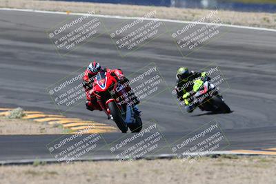 media/Apr-14-2024-SoCal Trackdays (Sun) [[70f97d3d4f]]/5-Bowl Exit (1020am)/